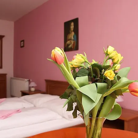 Pensjonat Milotin *